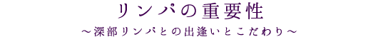 リンパの重要性～深部リンパと出逢いとこだわり～